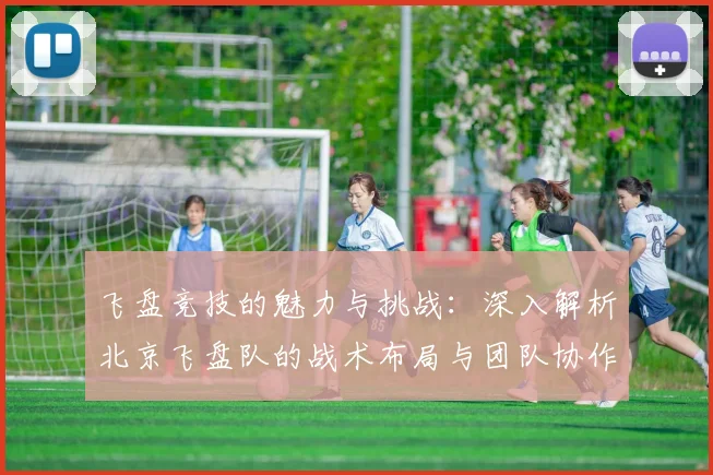 飞盘竞技的魅力与挑战：深入解析北京飞盘队的战术布局与团队协作