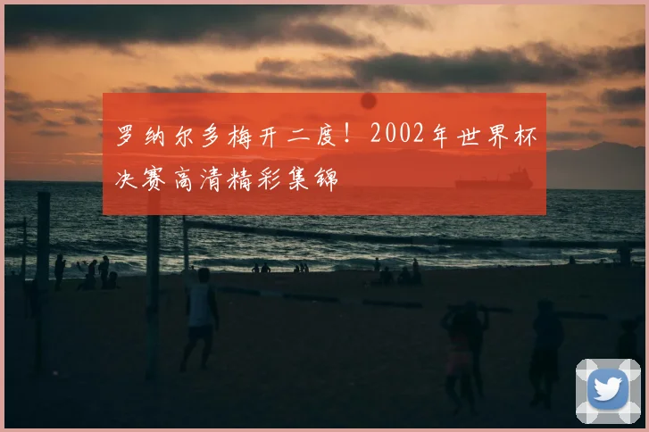 罗纳尔多梅开二度！2002年世界杯决赛高清精彩集锦