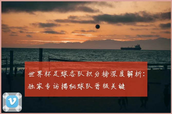 世界杯足球各队积分榜深度解析：独家专访揭秘球队晋级关键