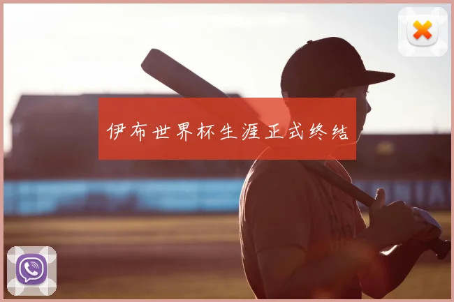 伊布世界杯生涯正式终结