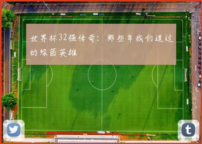 世界杯32强传奇：那些年我们追过的绿茵英雄