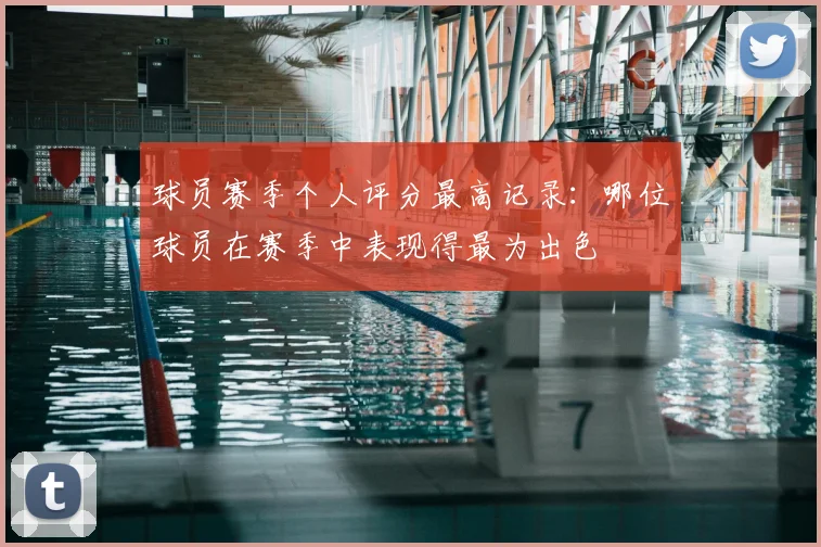 球员赛季个人评分最高记录：哪位球员在赛季中表现得最为出色