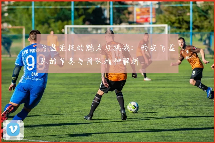 飞盘竞技的魅力与挑战：西安飞盘队的节奏与团队精神解析