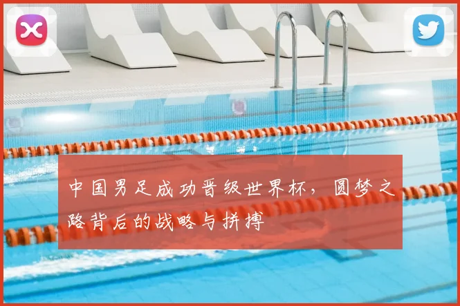 中国男足成功晋级世界杯，圆梦之路背后的战略与拼搏