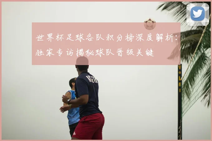 世界杯足球各队积分榜深度解析：独家专访揭秘球队晋级关键