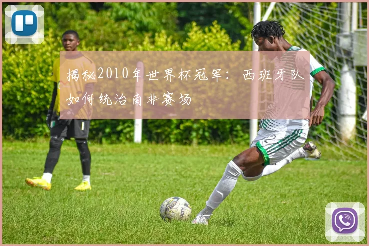 揭秘2010年世界杯冠军：西班牙队如何统治南非赛场